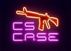 CSCase