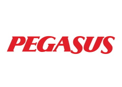 Pegasus