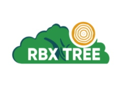 RBX Tree